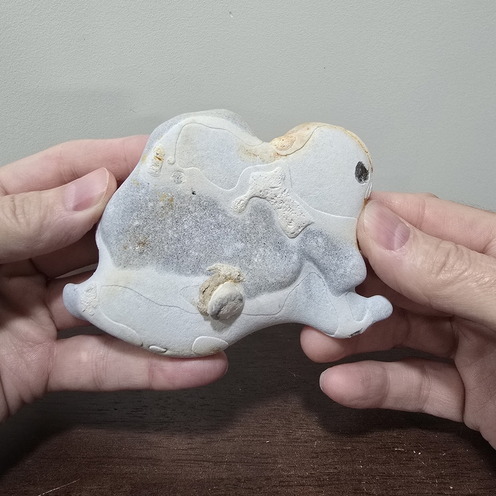 Fairy Stone Chert Crystal Concretion Cluster